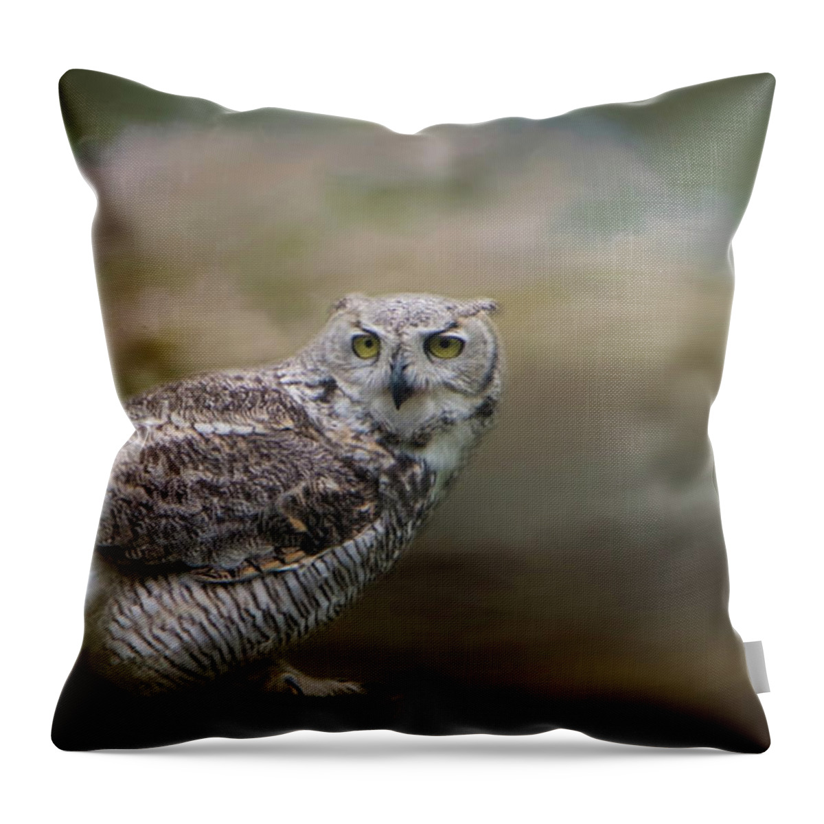 Owl Throw Pillow featuring the photograph Owl Eyes by Marilyn Wilson