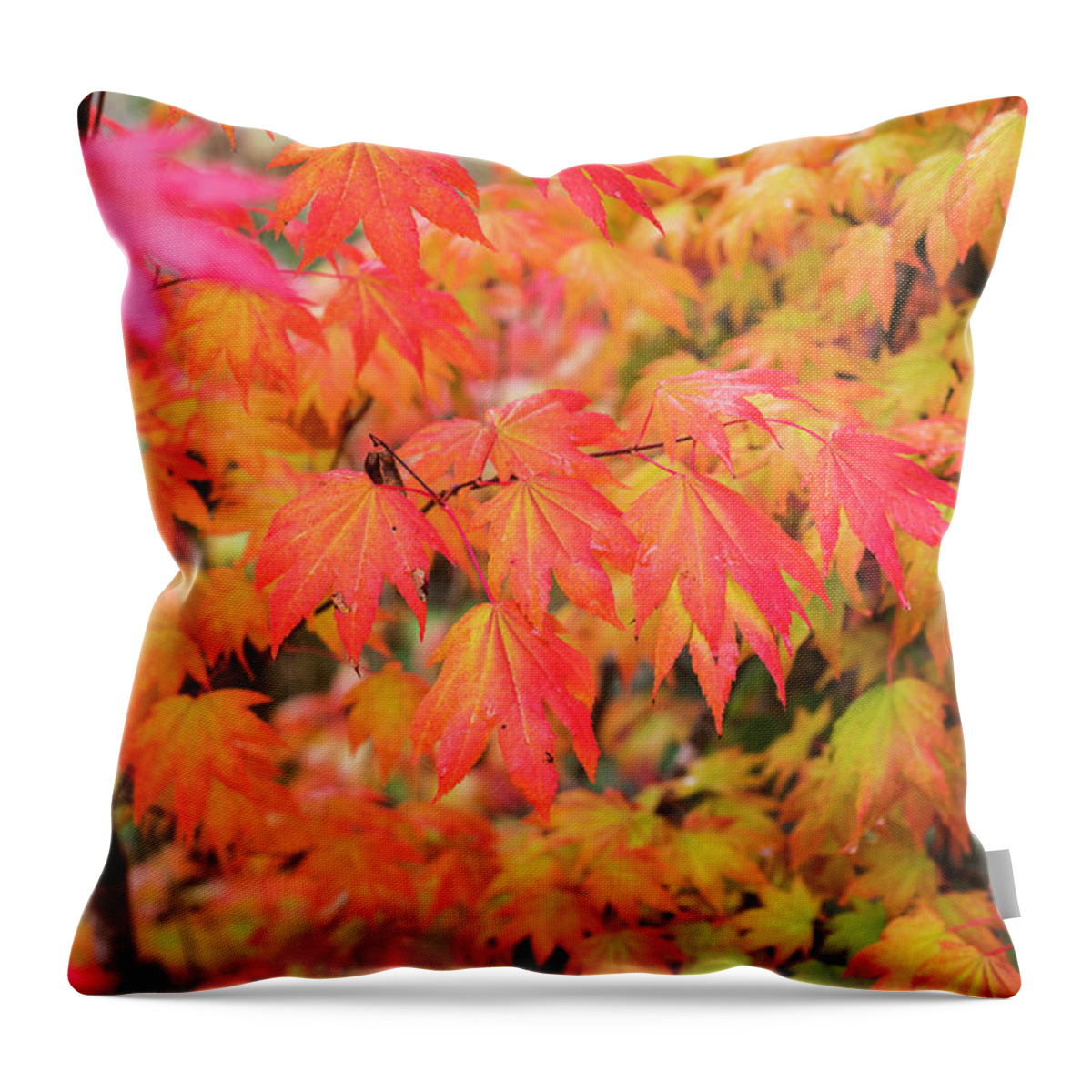 Astoria Throw Pillow featuring the photograph November Leaves by Robert Potts