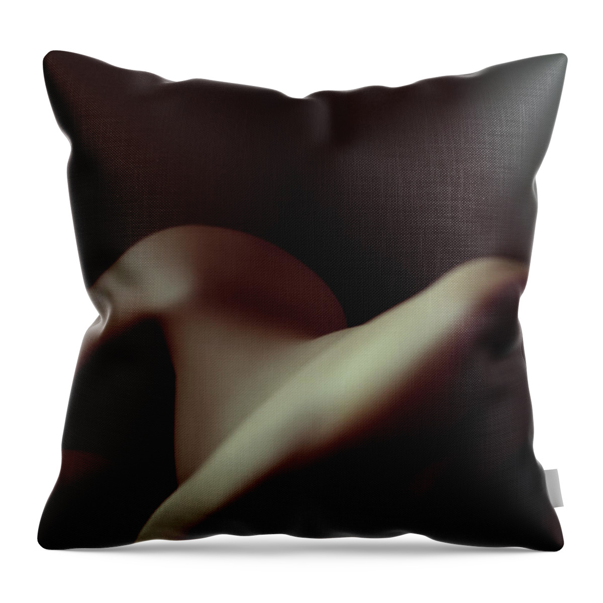 Torso Throw Pillow featuring the photograph Nude Woman In Partial Shadow by Jupiterimages