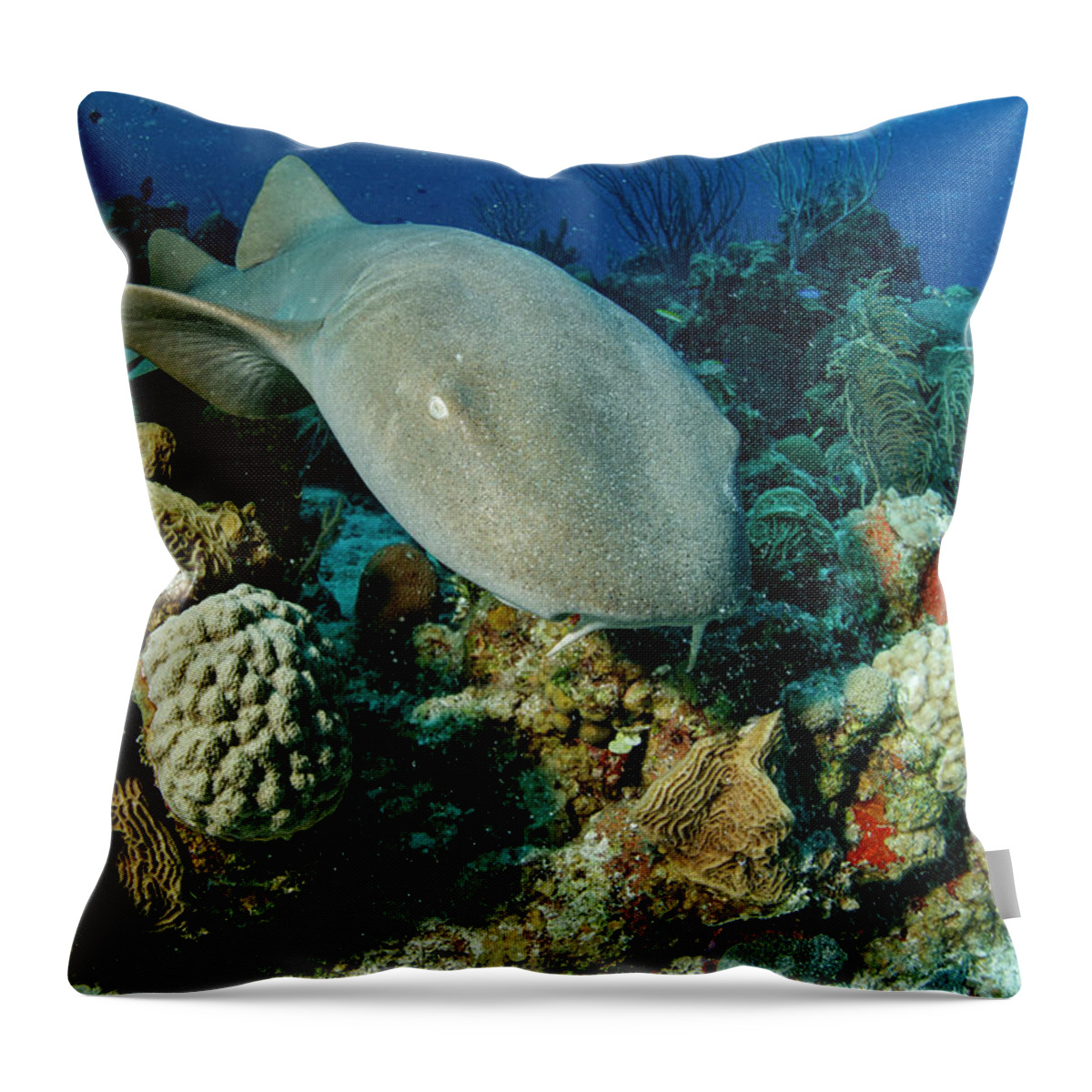 Animal Throw Pillow featuring the photograph Nurse Shark Swimming Over Reef. Chinchorro Banks Biosphere by Franco Banfi / Naturepl.com