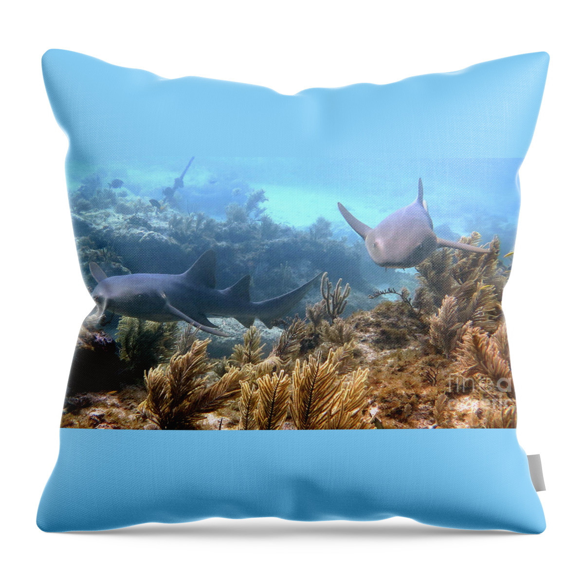Underwater Throw Pillow featuring the photograph Nurse Sharks by Daryl Duda