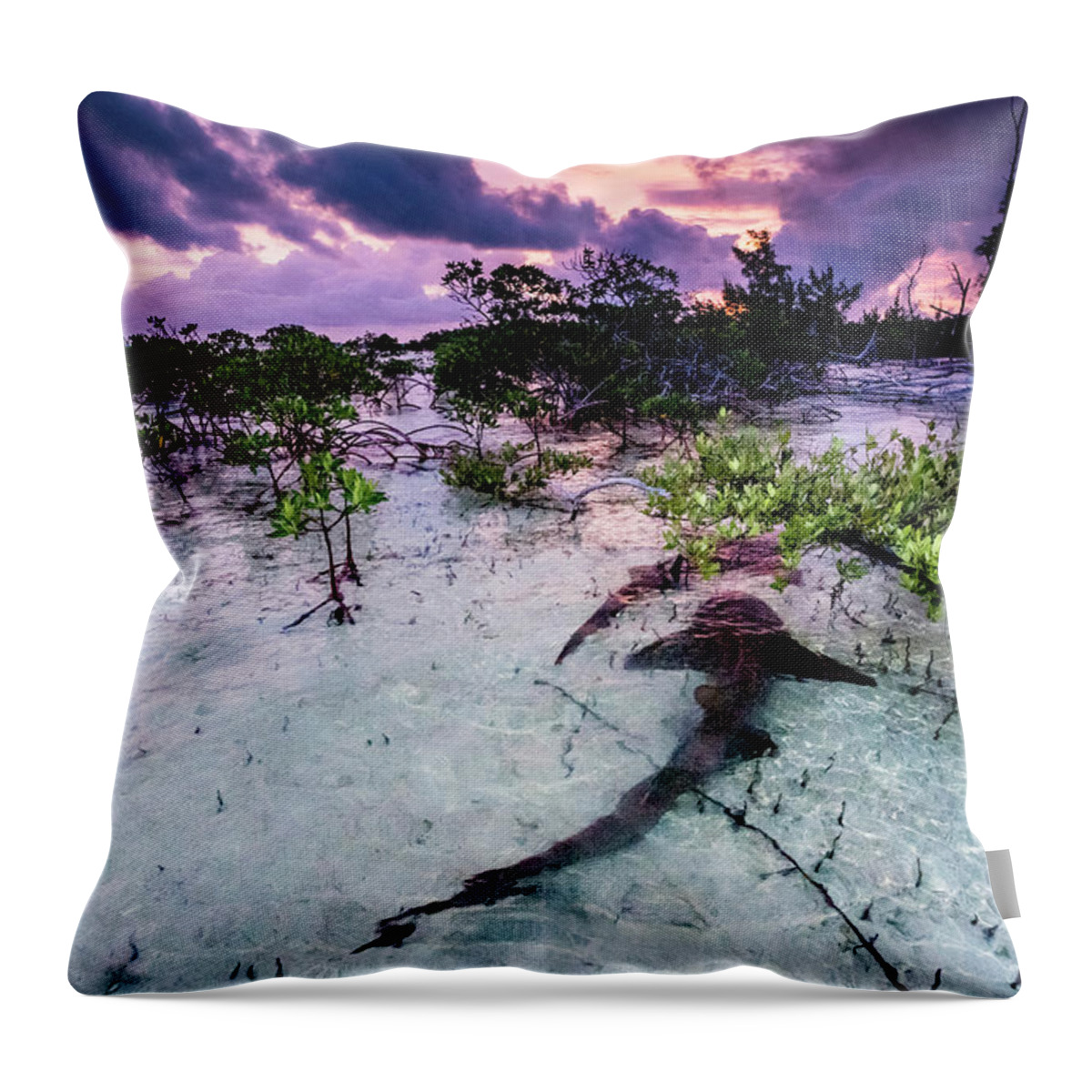 Animal Throw Pillow featuring the photograph Nurse Sharks Three In A Courtship Dance At Sunrise In A by Shane Gross / Naturepl.com
