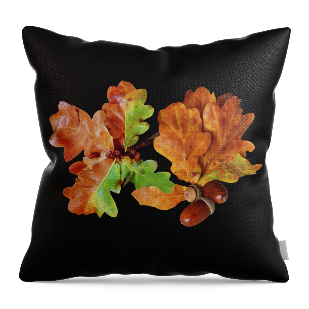 Autumn Leaves Throw Pillow featuring the photograph Oak Leaves And Acorns On Black by Gill Billington