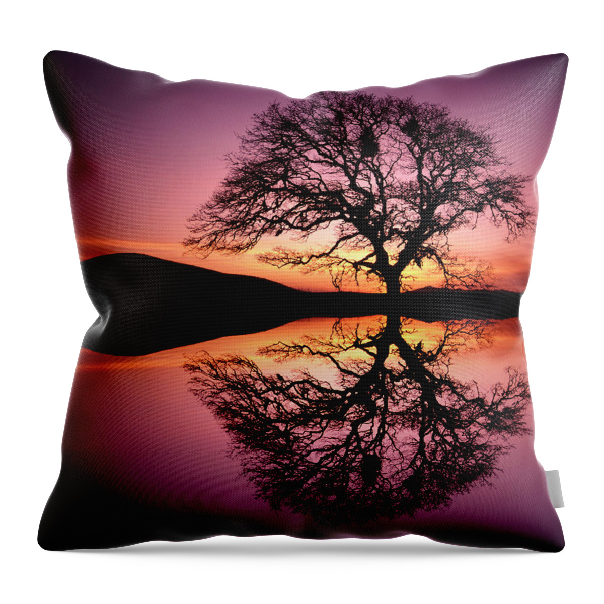Tranquility Throw Pillow featuring the photograph Oak Tree Reflection At Sunset by Steve Satushek