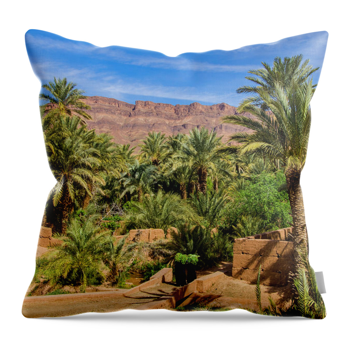 Tranquility Throw Pillow featuring the photograph Oasis Around Ouled Atmane Kasbah by Maremagnum