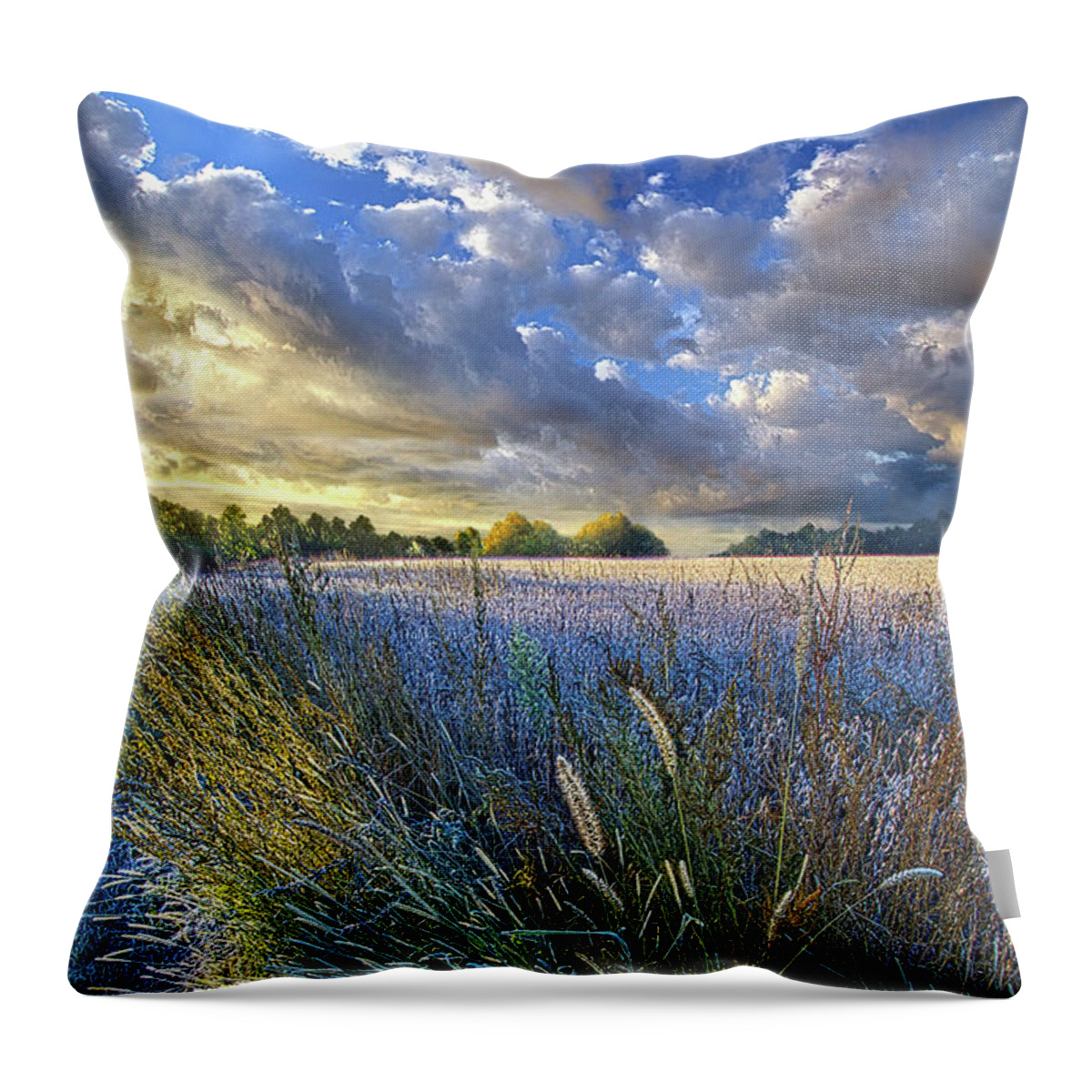 Life Throw Pillow featuring the photograph Obscuring Summer's Memory by Phil Koch