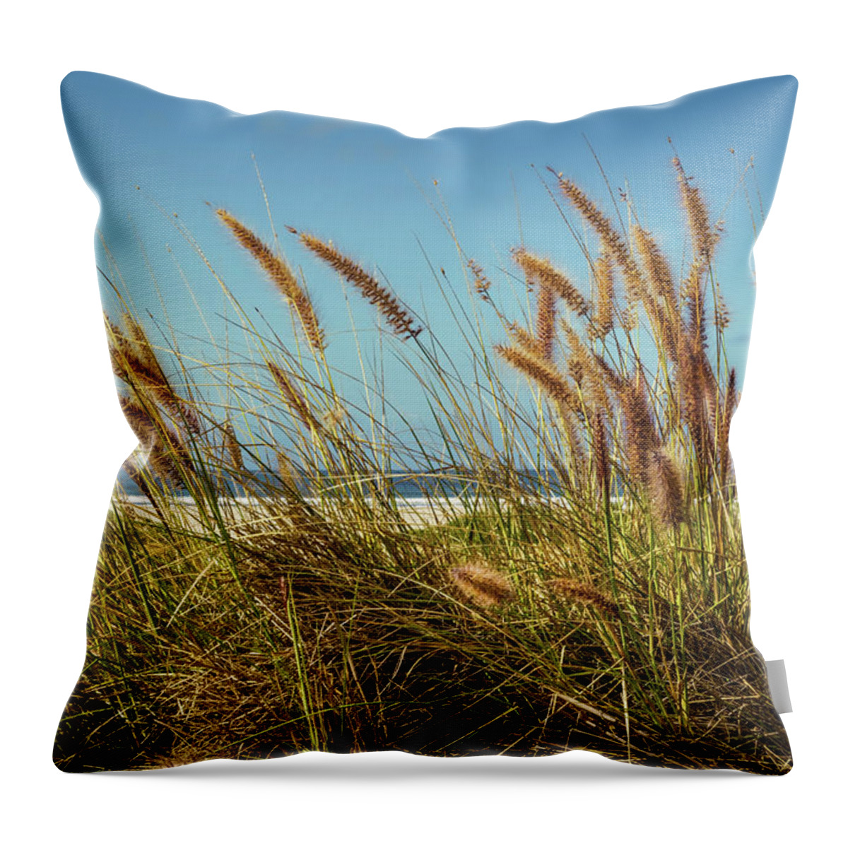 Beach Throw Pillow featuring the photograph Ocean Blvd by Bill Chizek