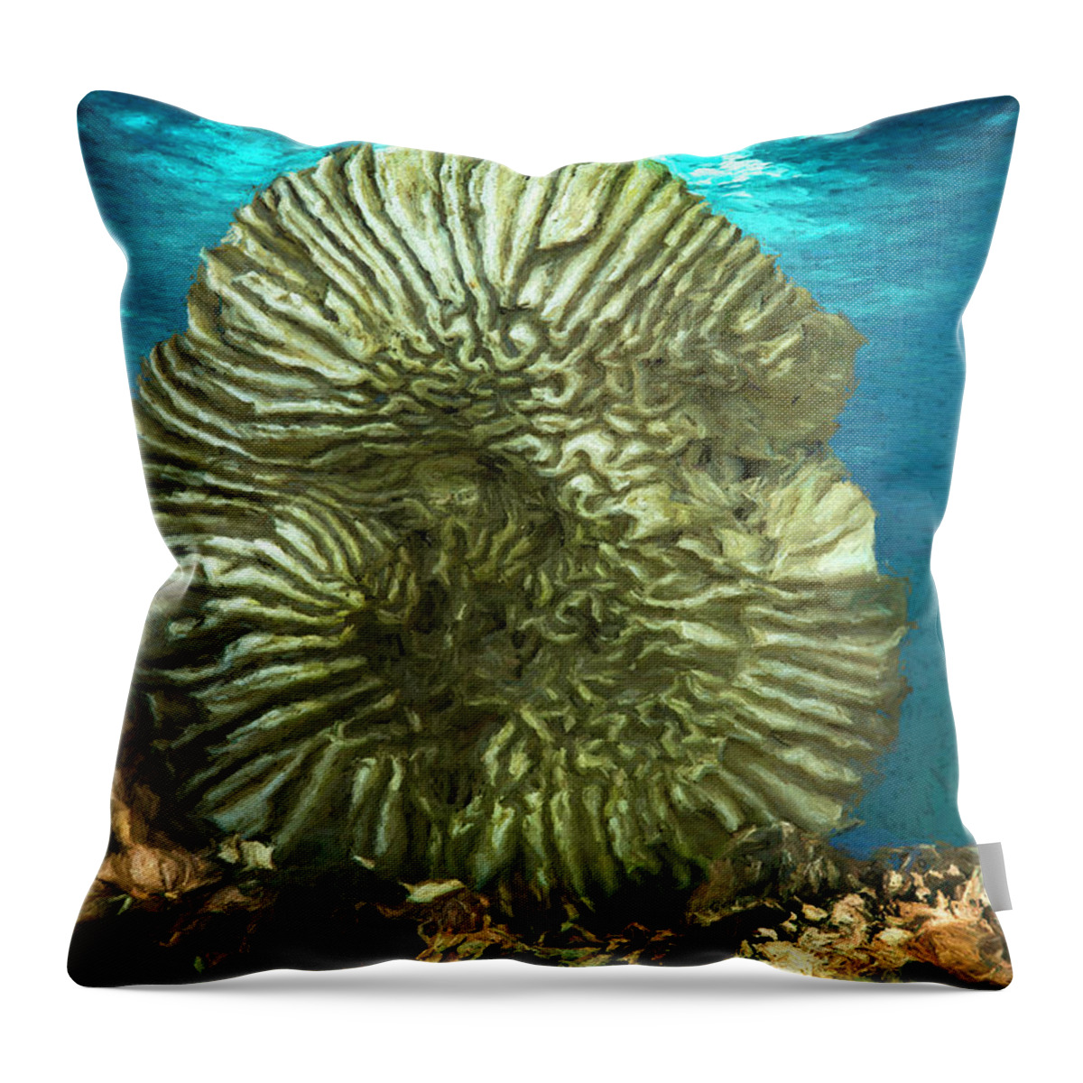 Ocean Throw Pillow featuring the photograph Ocean With Its Life Underground by Pheasant Run Gallery