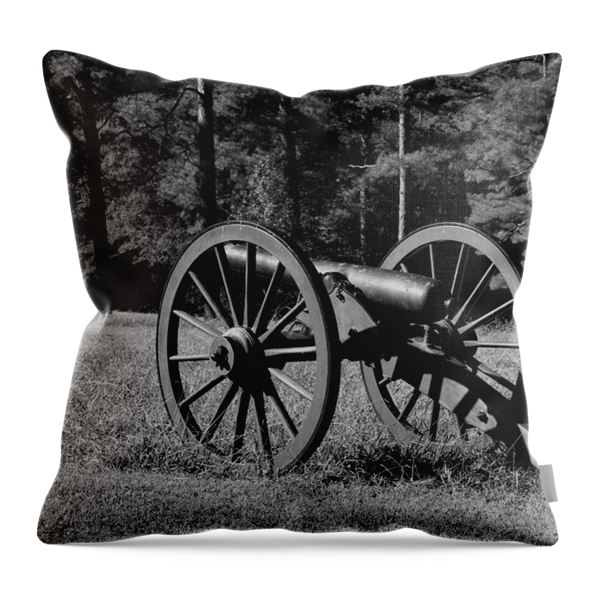 Canon Throw Pillow featuring the photograph Of Years Gone By by Karen Harrison Brown