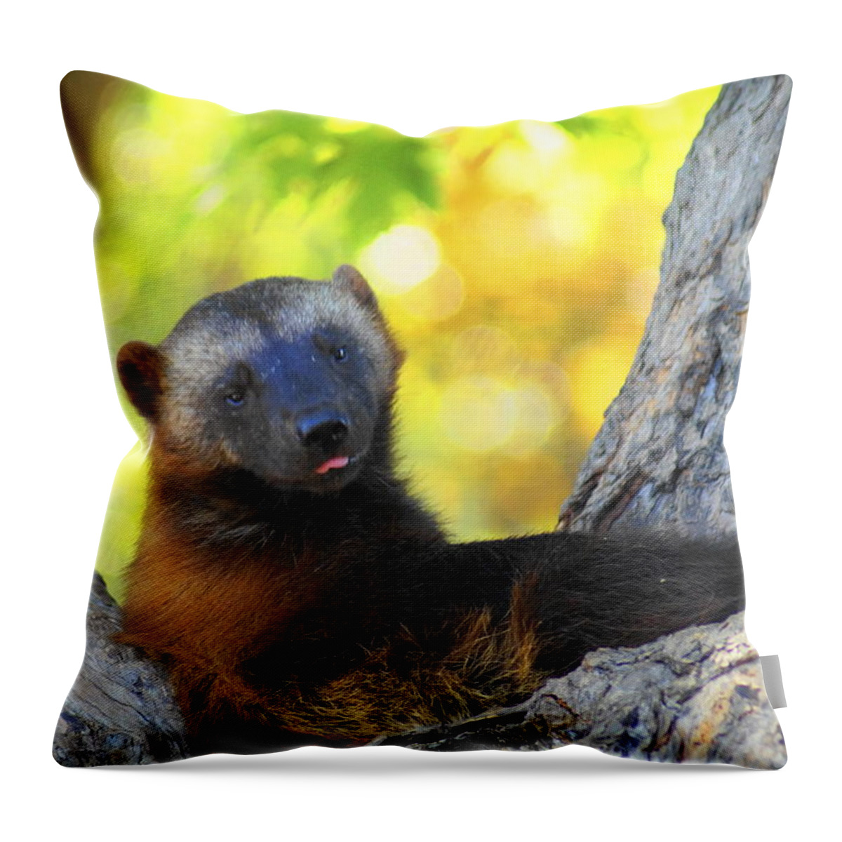 University Of Michigan Throw Pillow featuring the photograph Oh Buckeyes... by Daniel Thompson