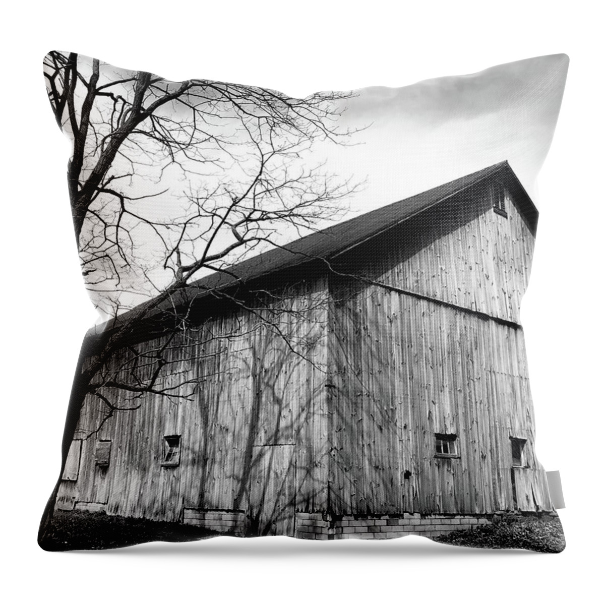 Ohio Barn Throw Pillow featuring the photograph Ohio Barn by Edward Smith