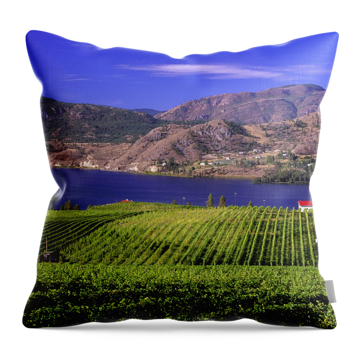 Scenics Throw Pillow featuring the photograph Okanagan Valley Vineyard by Laughingmango