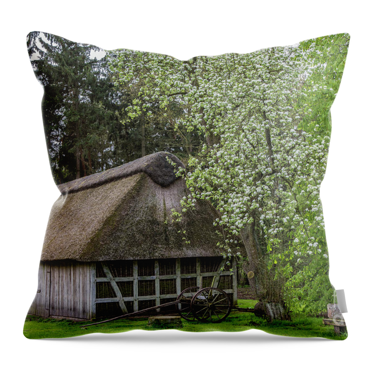 Barn Throw Pillow featuring the photograph Old Barn in Spring by Eva Lechner