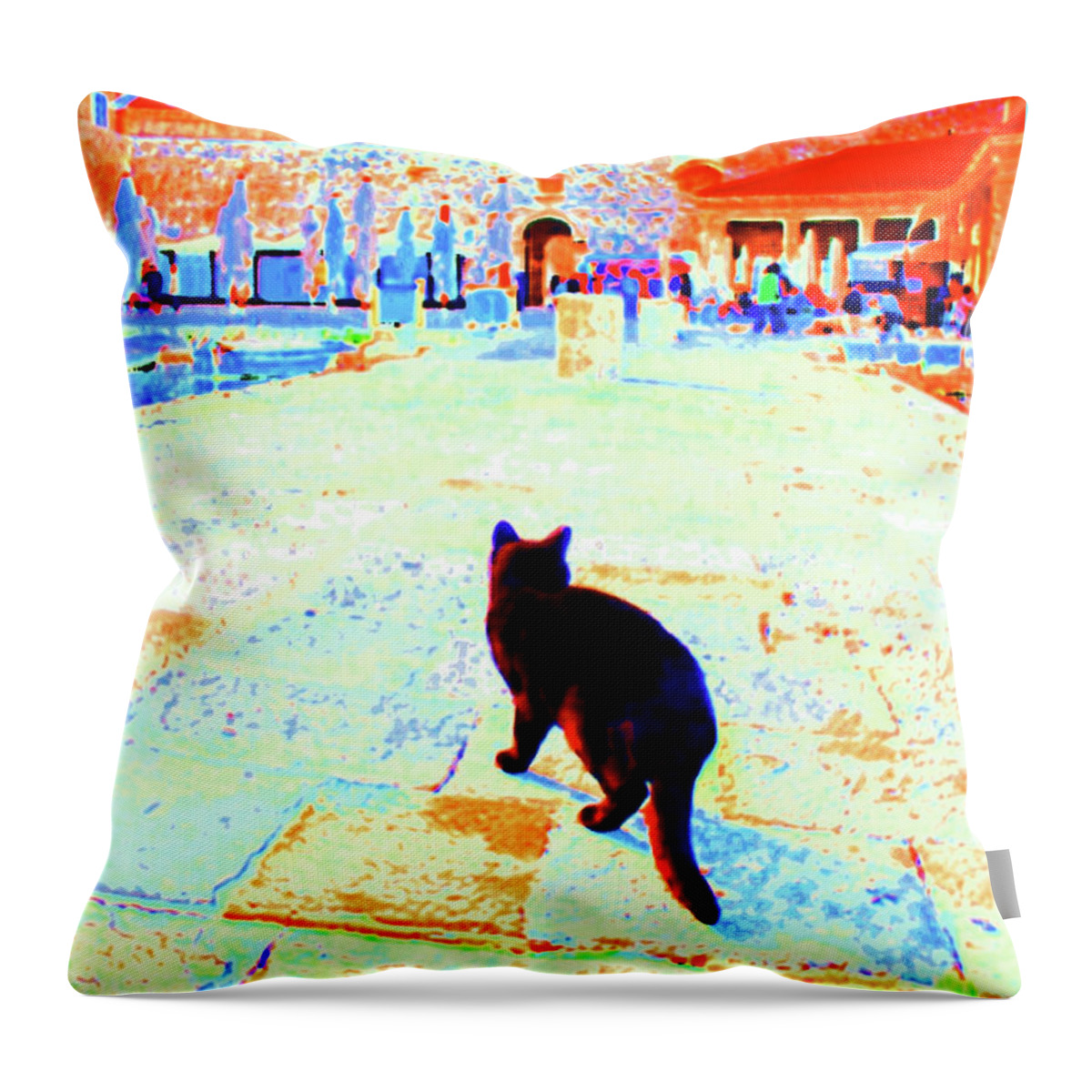 Black Cat Throw Pillow featuring the photograph Old Harbor Black Cat by Becqi Sherman