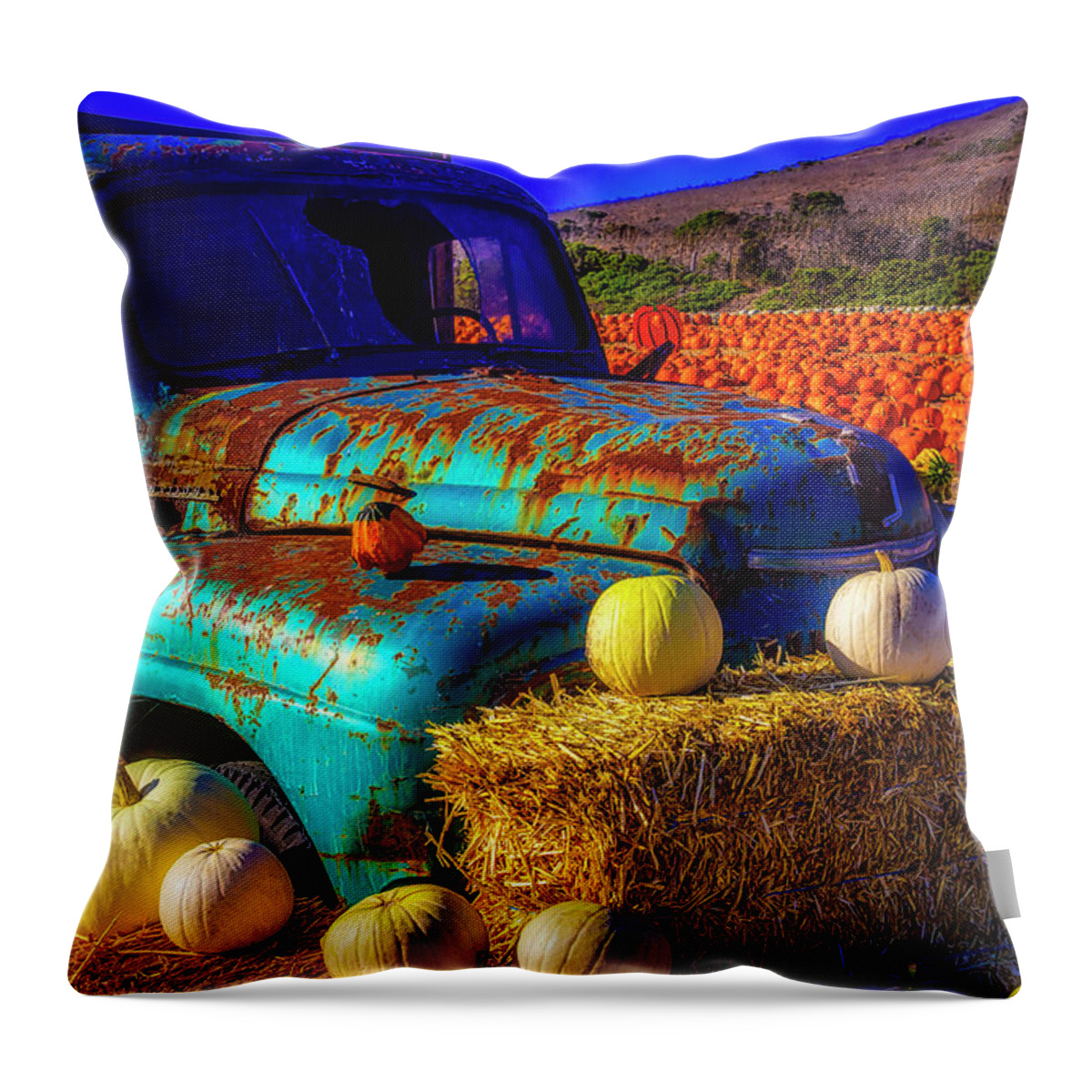 Old Rodoni Farm Truck Throw Pillow featuring the photograph Old Rodoni Farm Truck by Garry Gay
