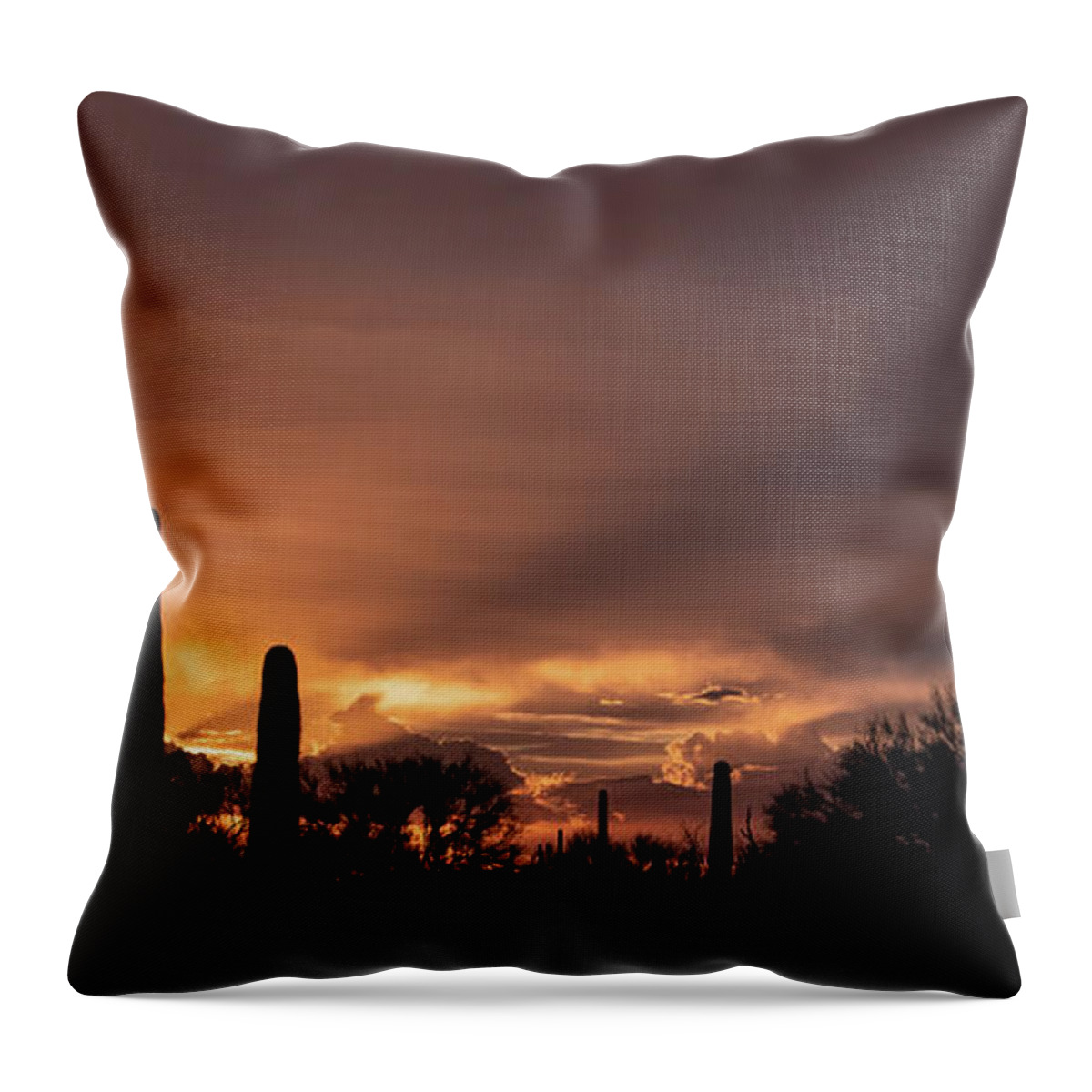 Sun Throw Pillow featuring the photograph Old West Sunset by Elaine Malott