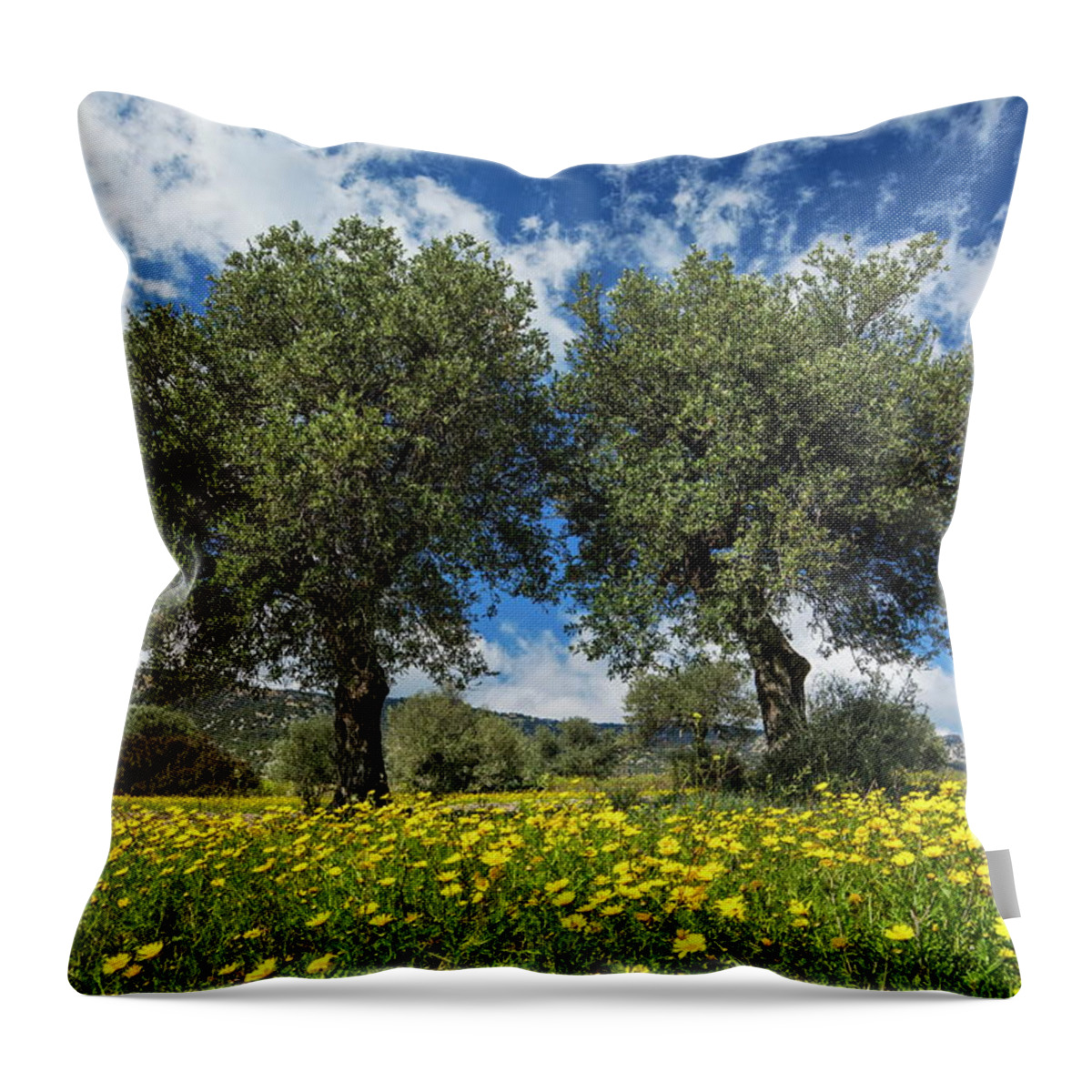 Estock Throw Pillow featuring the digital art Olive Trees, Near Kantara, Cyprus by Reinhard Schmid