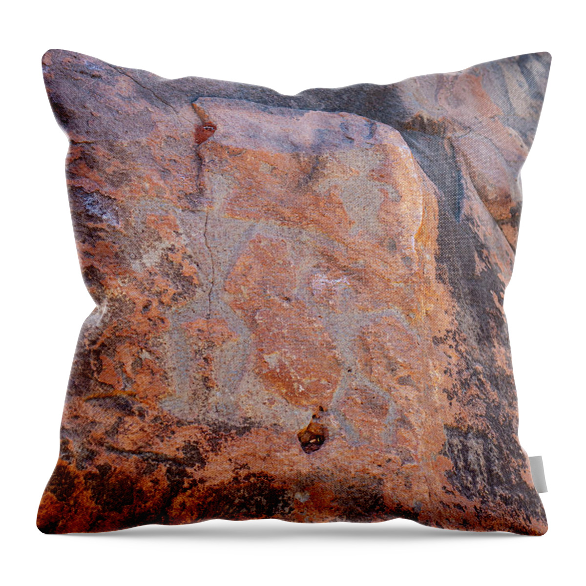 Petroglyphs Throw Pillow featuring the photograph Olowalu Petroglyphs by Anthony Jones