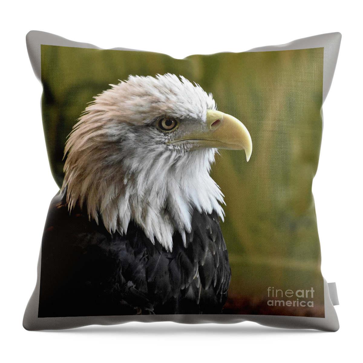 Olympia Throw Pillow featuring the photograph Olympia by Ron Long