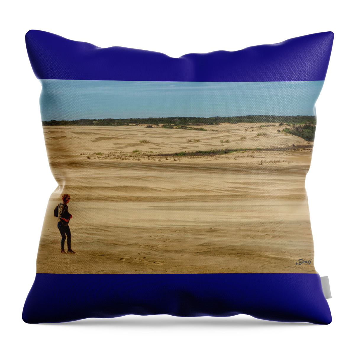Outerbanks Throw Pillow featuring the photograph On the Dunes by Bearj B Photo Art