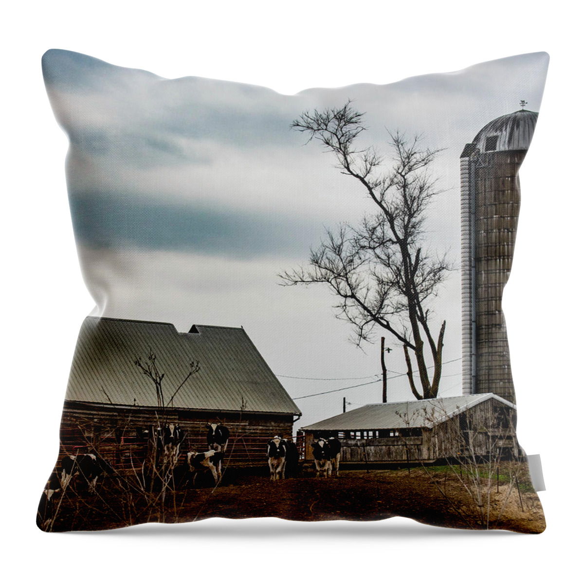  Throw Pillow featuring the photograph On the Farm by Wendy Carrington