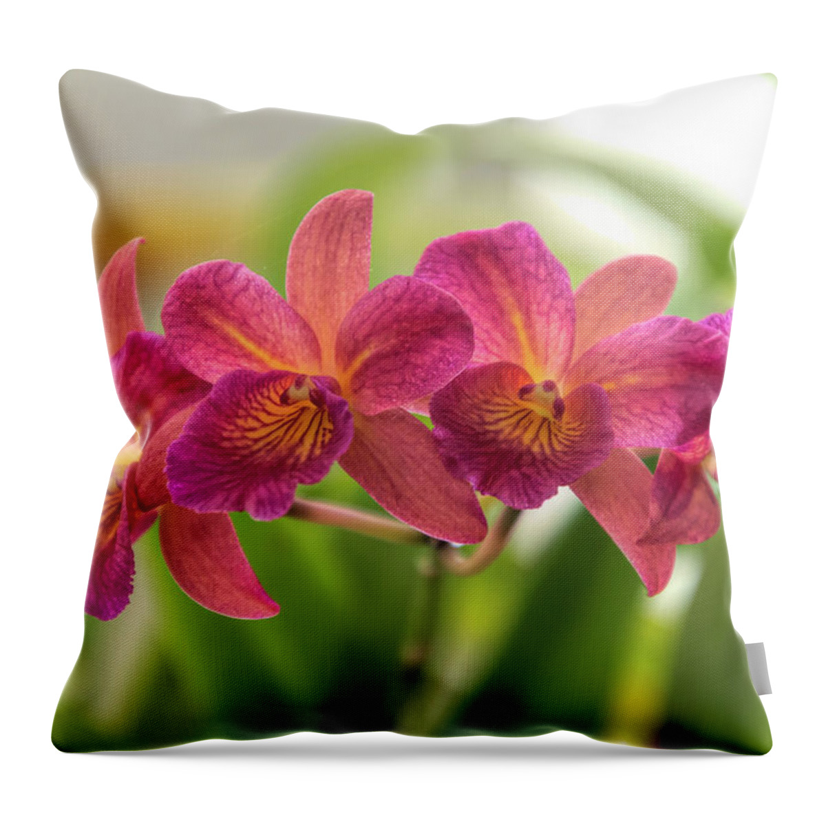 Debra Martz Throw Pillow featuring the photograph On The Purple Side of Pink by Debra Martz