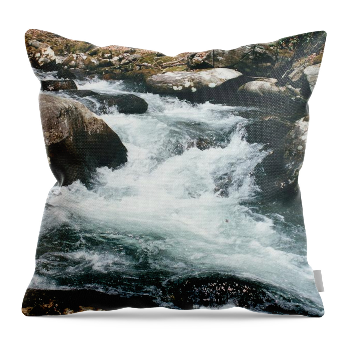 Water Throw Pillow featuring the photograph On the Rocks by Lois Tomaszewski