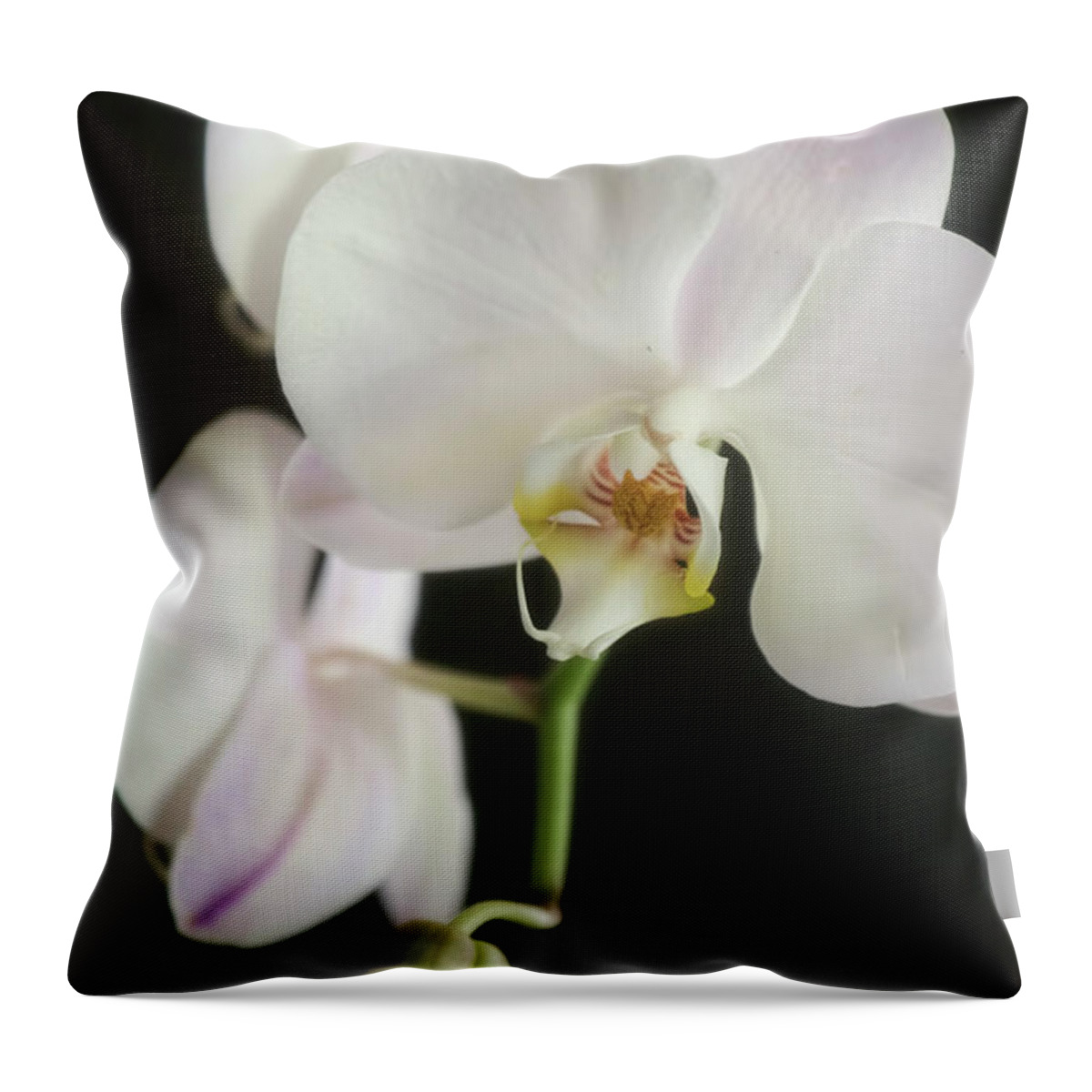 Orchids Throw Pillow featuring the photograph One On The Way by Joan Bertucci