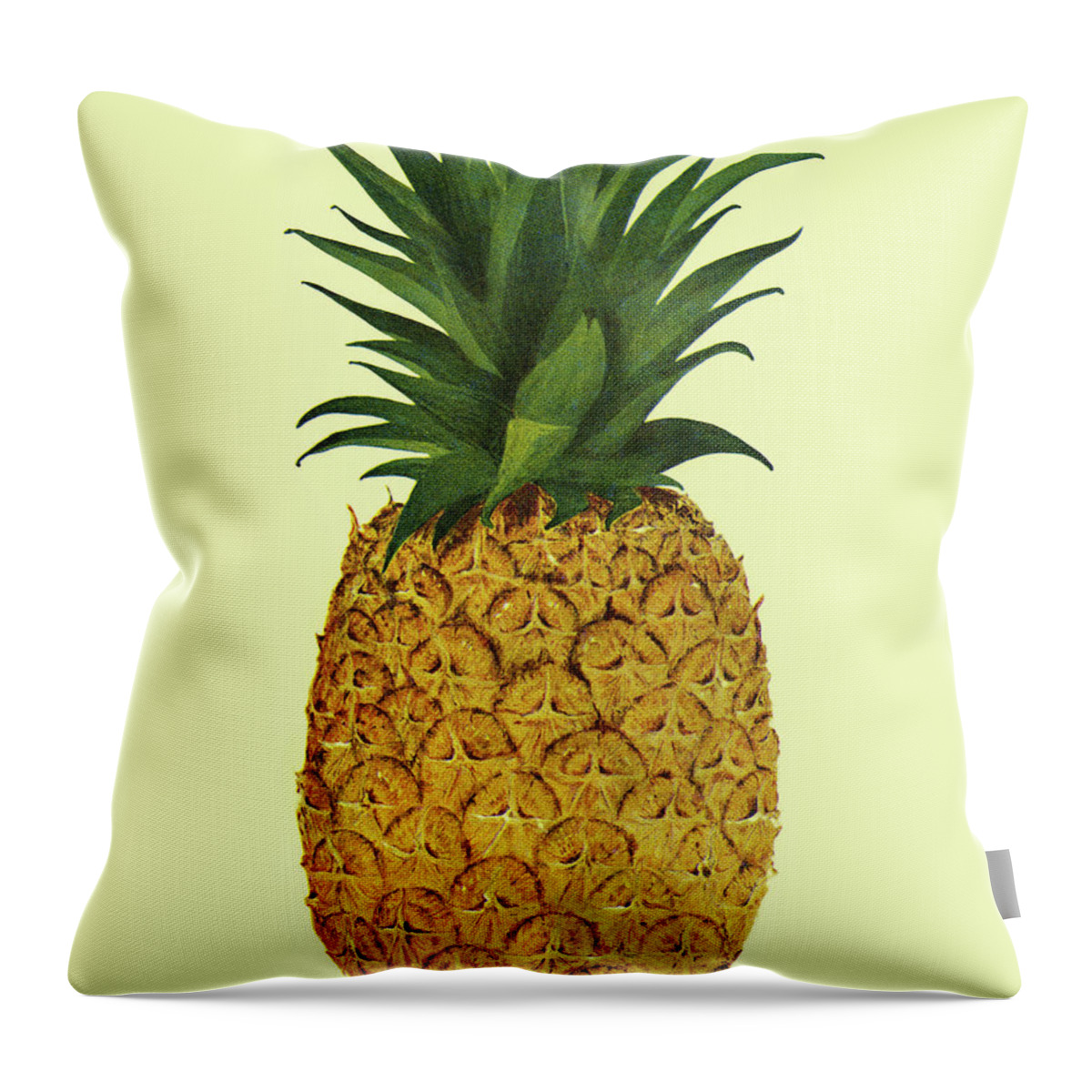Campy Throw Pillow featuring the drawing One Pineapple by CSA Images