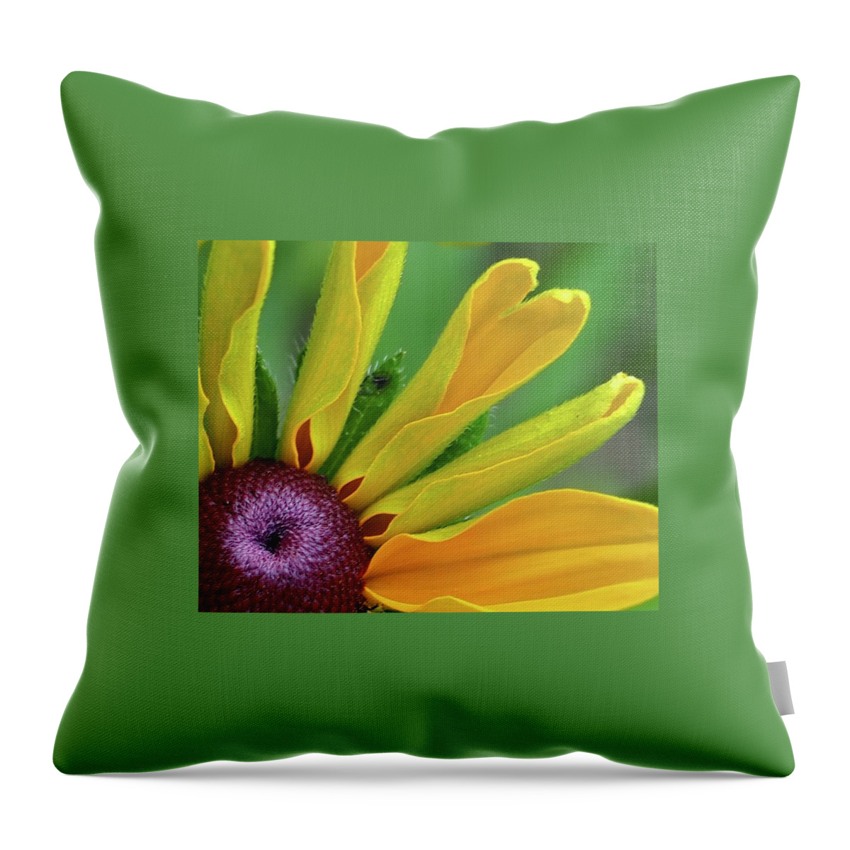 Flower Throw Pillow featuring the photograph One Sunny Day by Alida M Haslett
