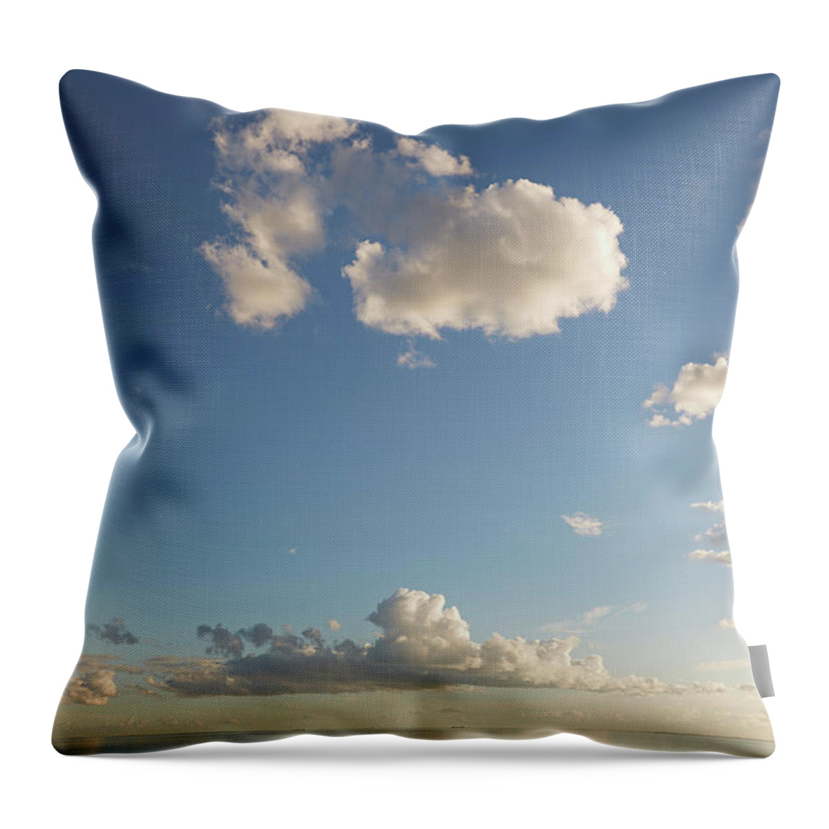 Scenics Throw Pillow featuring the photograph Open Ssky by Aaron Foster