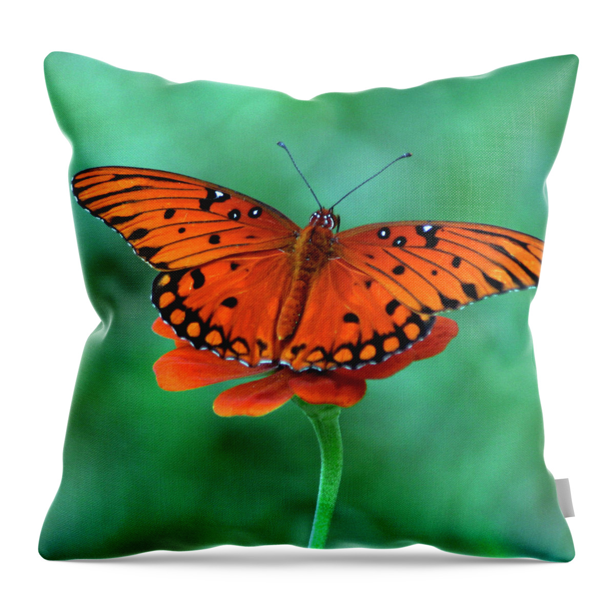 Animal Themes Throw Pillow featuring the photograph Orange Crush by Martha Catherine Ivey