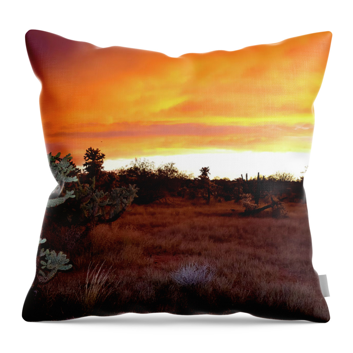 Sunset Throw Pillow featuring the photograph Orange Dream by Melisa Elliott