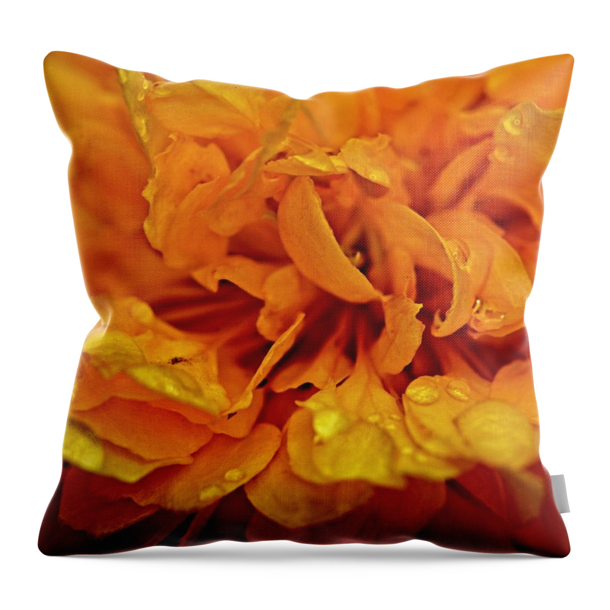 Nature Throw Pillow featuring the photograph Orange Kist by John Benedict
