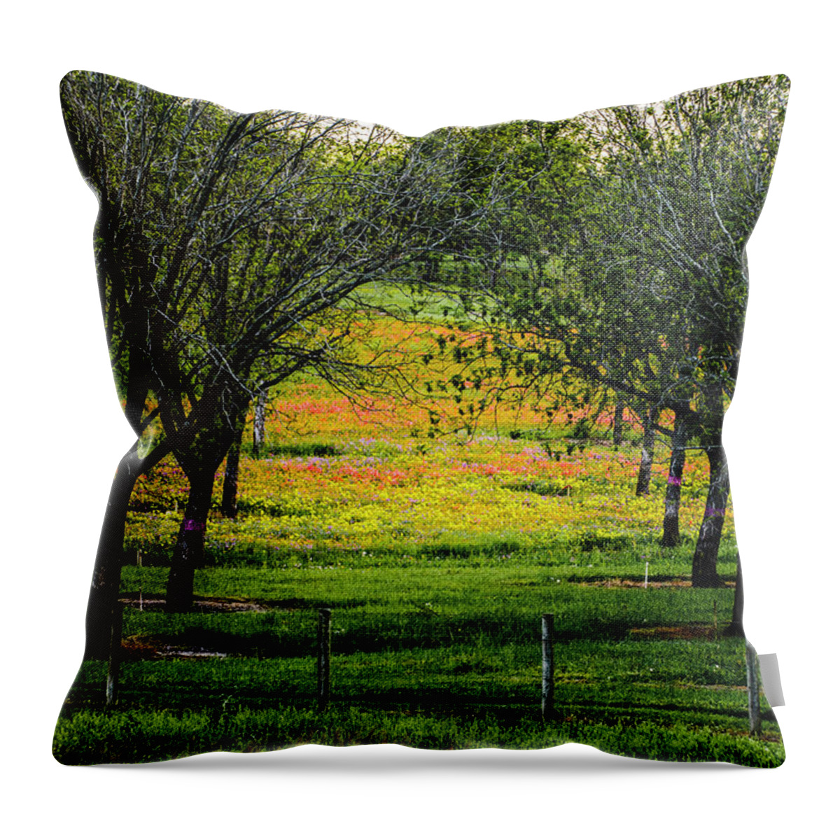 Texas Bluebonnets Throw Pillow featuring the photograph Orchard of Colors by Johnny Boyd