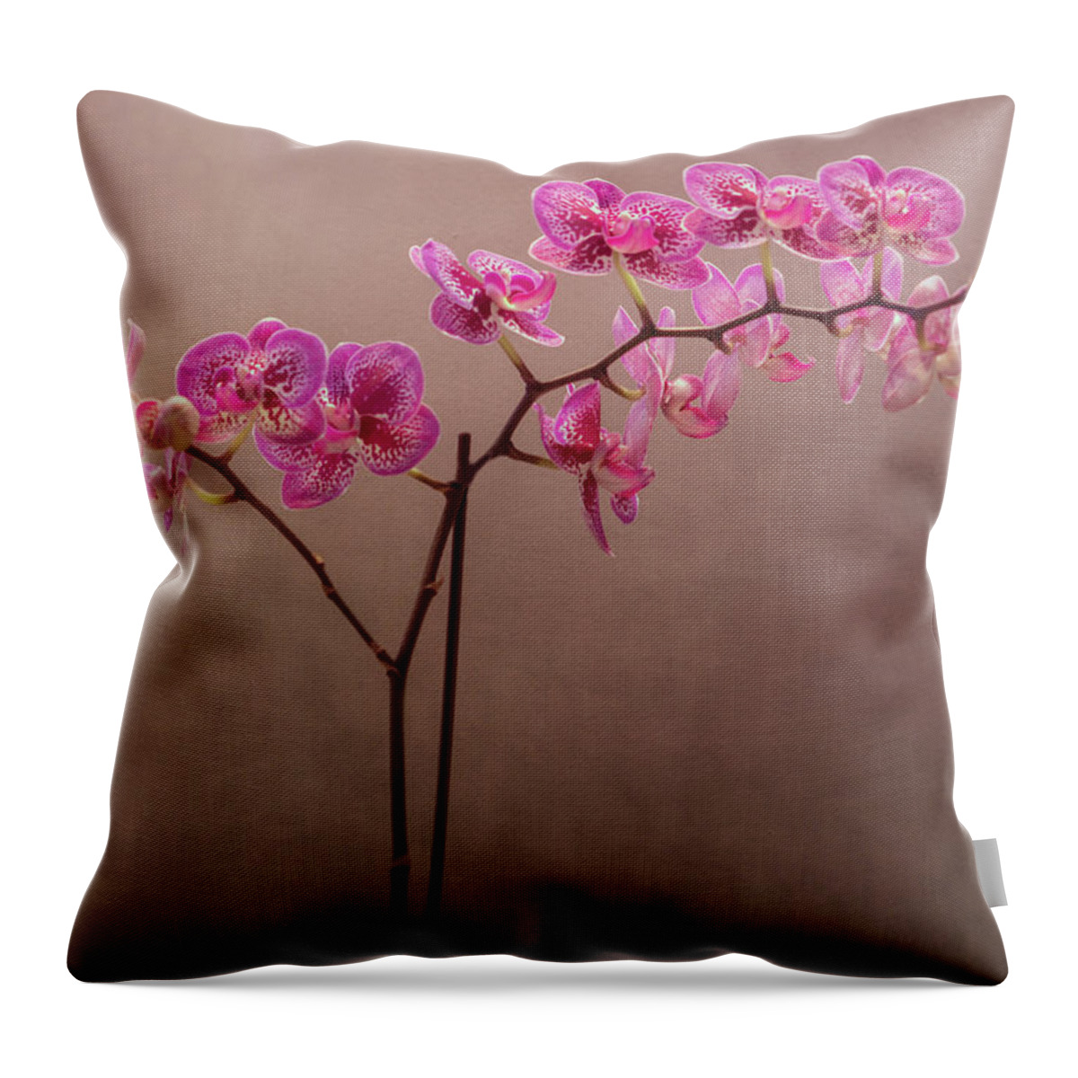 Floral Throw Pillow featuring the photograph Orchid 6 by Rosette Doyle