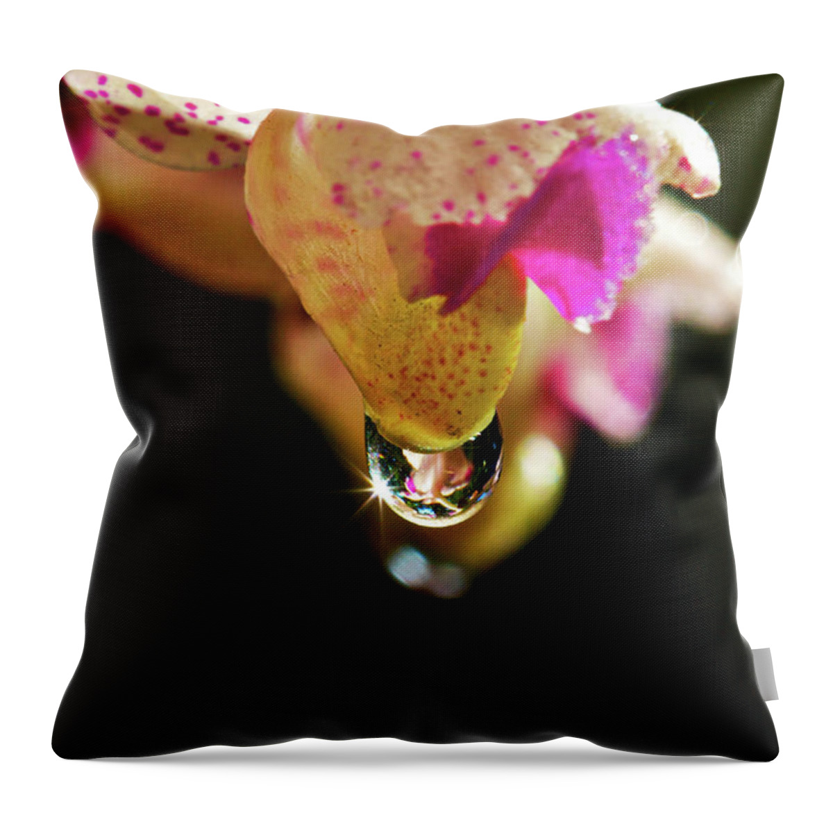 Petal Throw Pillow featuring the photograph Orchid And Water Drop by Photography By Jeremy Villasis. Philippines.