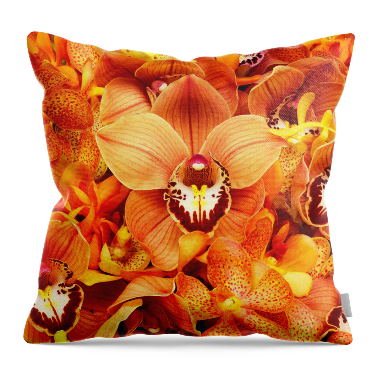 Orange Color Throw Pillow featuring the photograph Orchid Flowers by Davies And Starr
