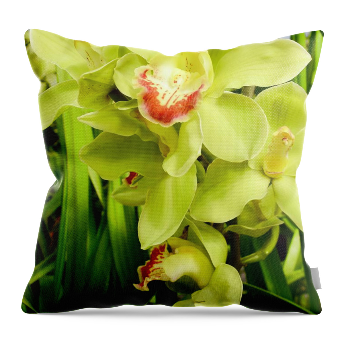 Flower Throw Pillow featuring the photograph Green Cymbidium Orchids III by Bnte Creations