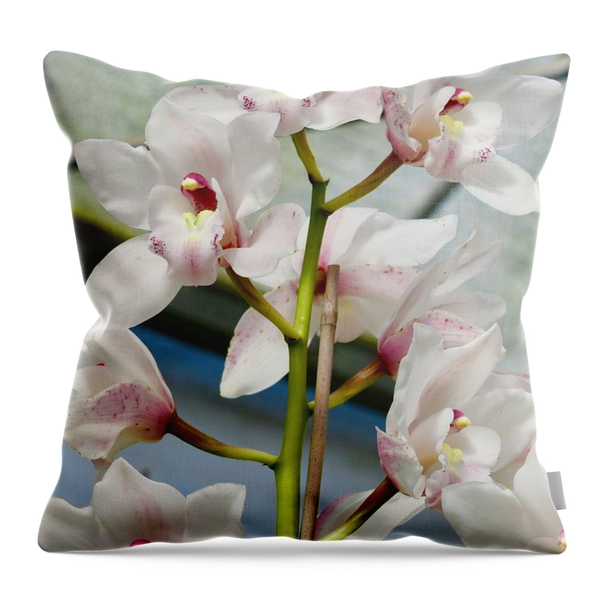 Flower Throw Pillow featuring the photograph White Cymbidium Orchids I by Bnte Creations