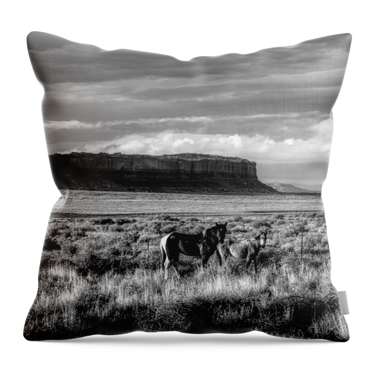 America Throw Pillow featuring the photograph Out West by Mountain Dreams