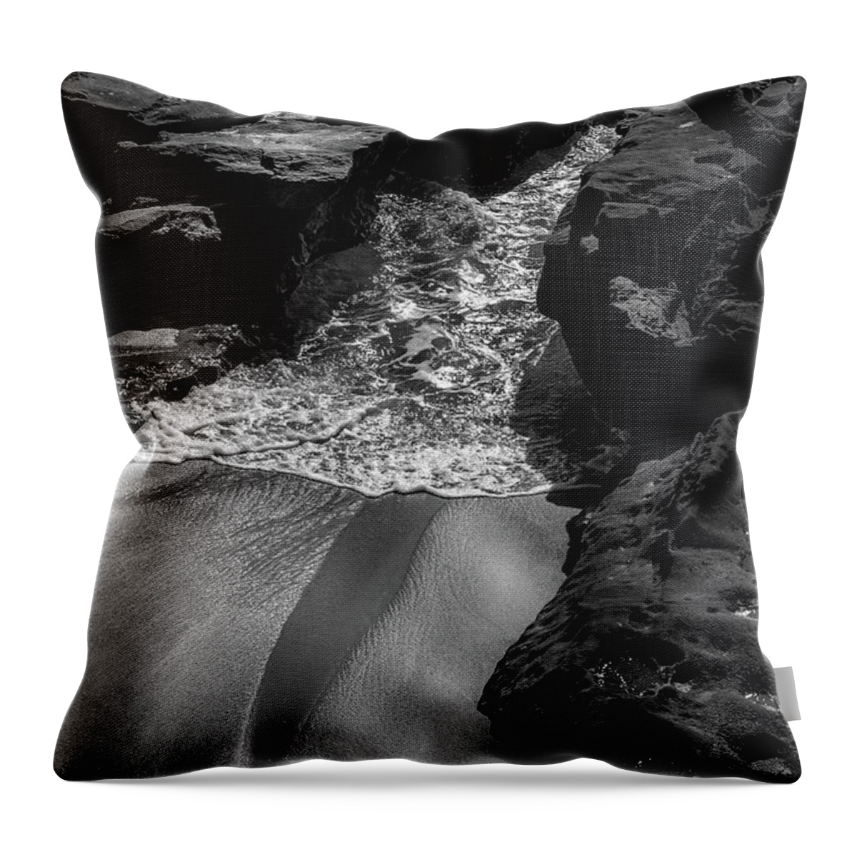 Beach Throw Pillow featuring the photograph Out With The Tide by Aaron Burrows