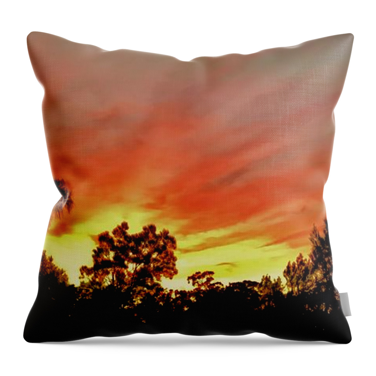 Sam Throw Pillow featuring the photograph Outback Sunset Too by Debra Grace Addison