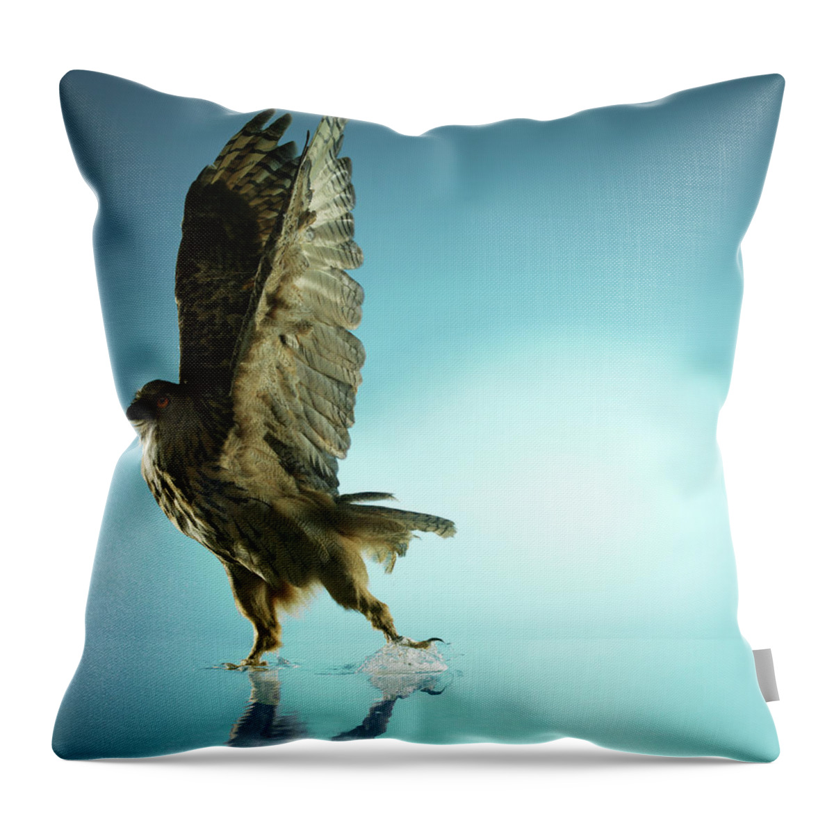 One Animal Throw Pillow featuring the photograph Owl With Wings Raised, Studio Shot by Biwa Studio
