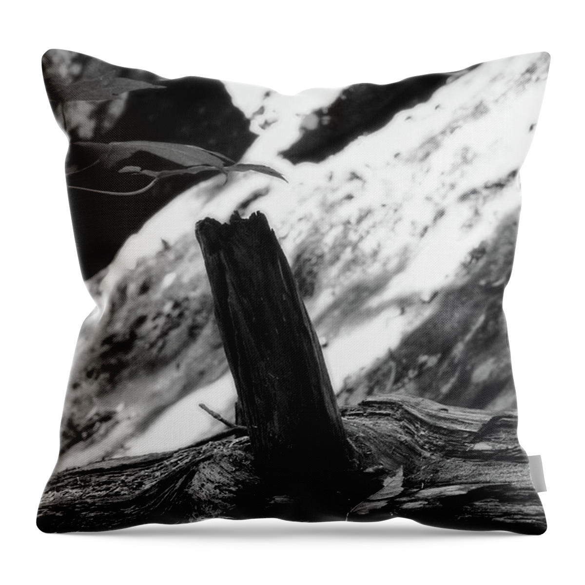 Tennessee Throw Pillow featuring the photograph Ozone Falls 9 by Phil Perkins