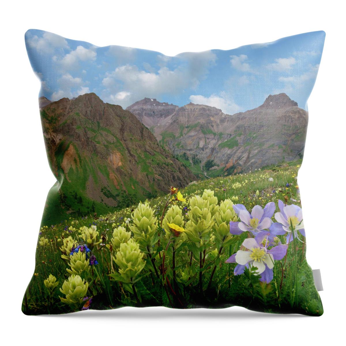 00555621 Throw Pillow featuring the photograph Paintbrush And Columbine, Governor Basin, Colorado by Tim Fitzharris