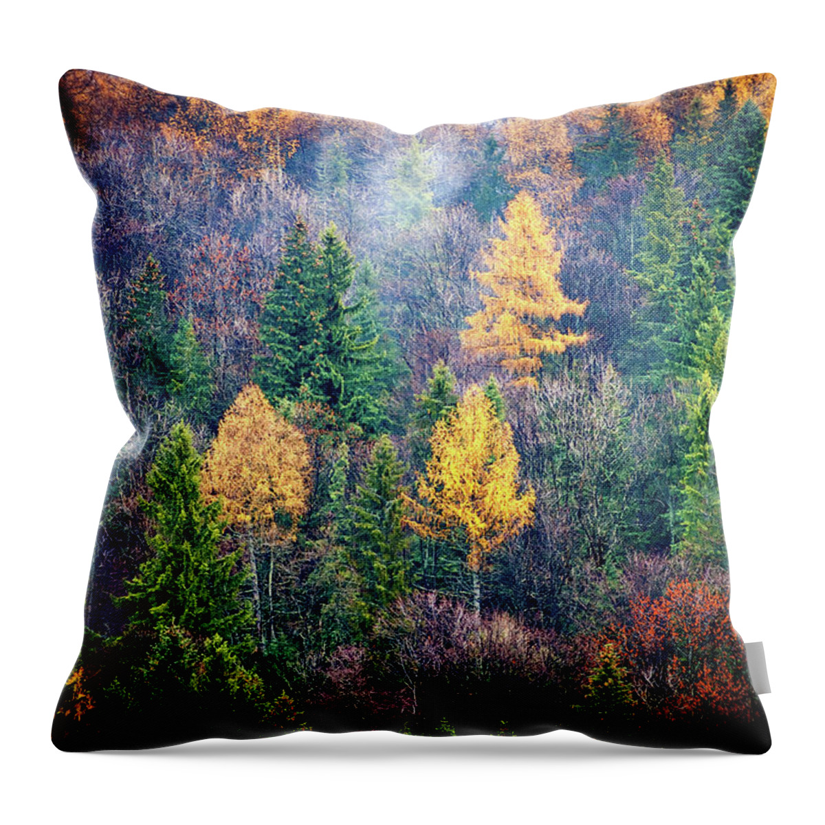 Scenics Throw Pillow featuring the photograph Painted By Light by Michal Sleczek