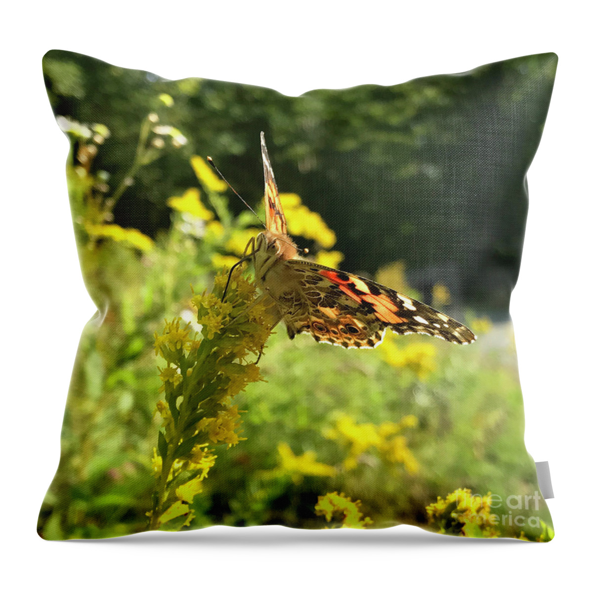 Painted Lady Throw Pillow featuring the photograph Painted Lady and Goldenrod 1 by Amy E Fraser