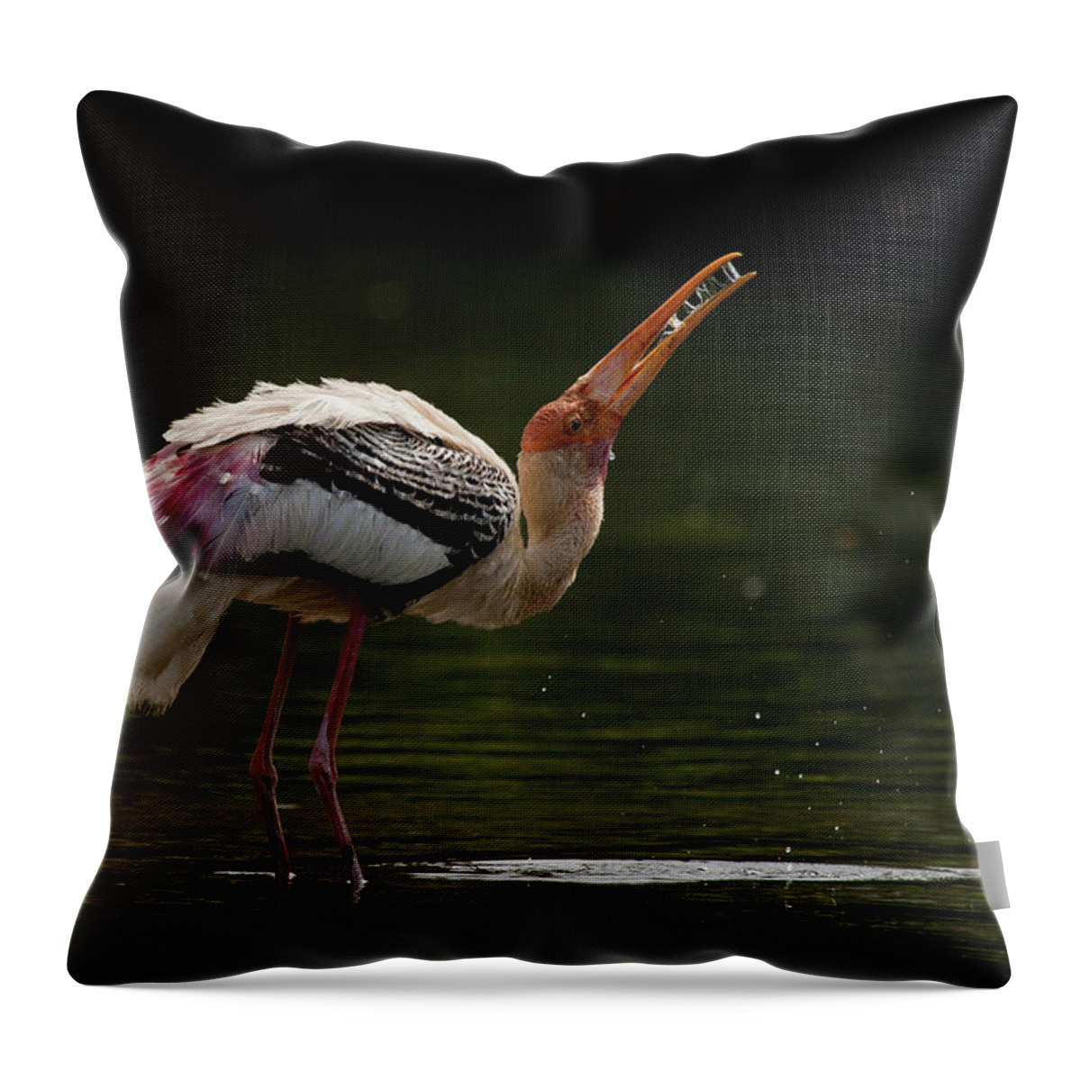 Animal Themes Throw Pillow featuring the photograph Painted Stork by (c) Niranj Vaidyanathan V.niranj@gmail.com