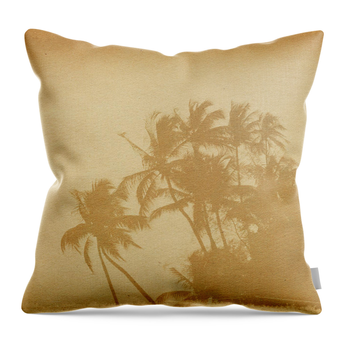 Aging Process Throw Pillow featuring the photograph Palm Paper by Nic taylor